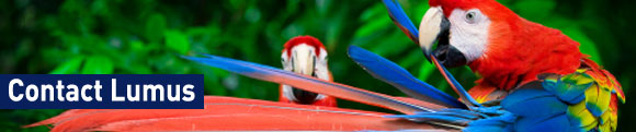 Parrot image, representing: Contact Lumus for 360 degree appraisals
